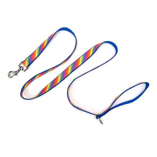 Diagonal multicolored rainbow stripes nylon dog leash, extended