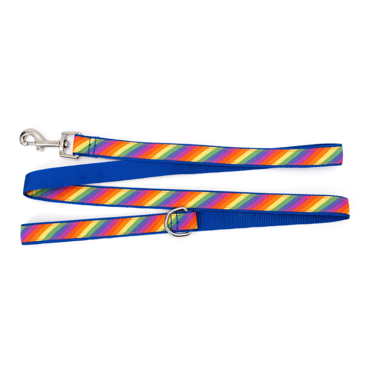 Diagonal multicolored rainbow stripes nylon dog leash, ribbon and blue backing detail