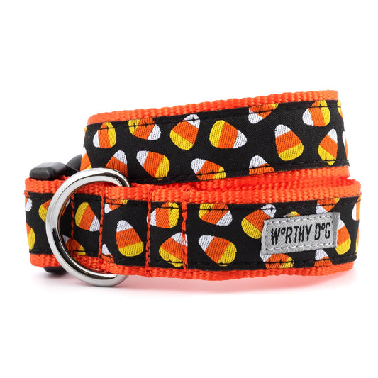 Yellow, orange and white candy corn on black ribbon Halloween dog collar, front view