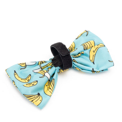 Go Bananas Dog Bow Tie – Polyester, Teal, Sizes S, L