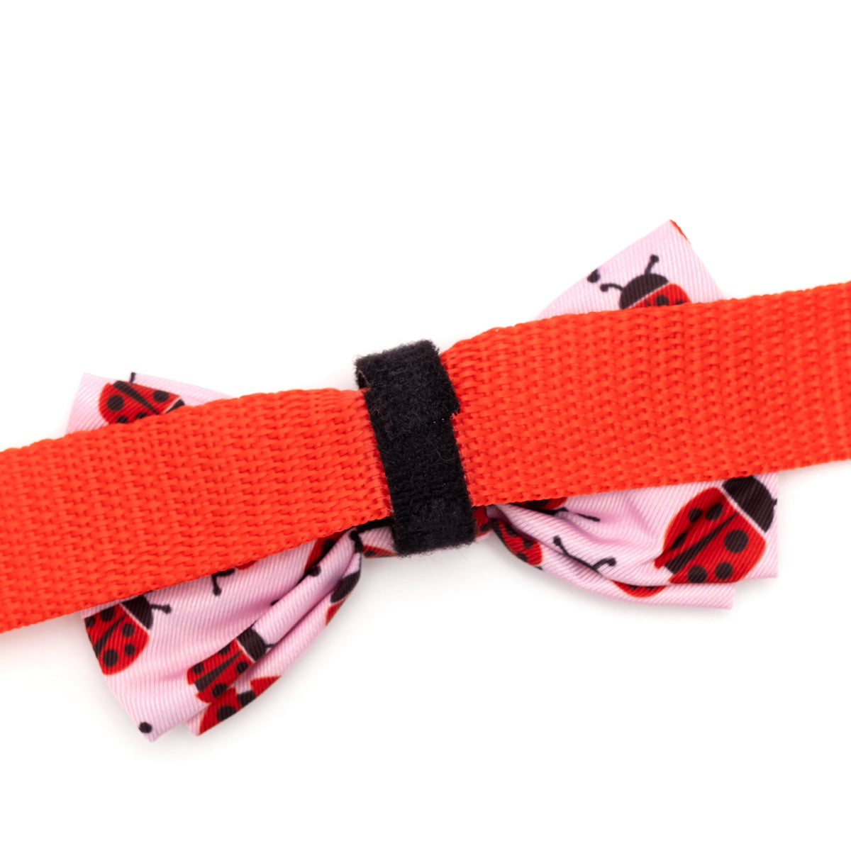 Ladybugs Dog Bow Tie – Polyester, Pink, Sizes S, L