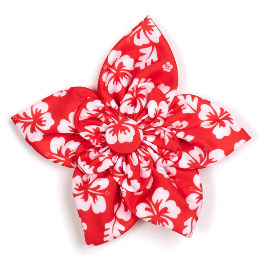 Aloha Dog Flower – Polyester, Turquoise & Coral, Sizes S, L