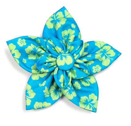 Aloha Dog Flower – Polyester, Turquoise & Coral, Sizes S, L