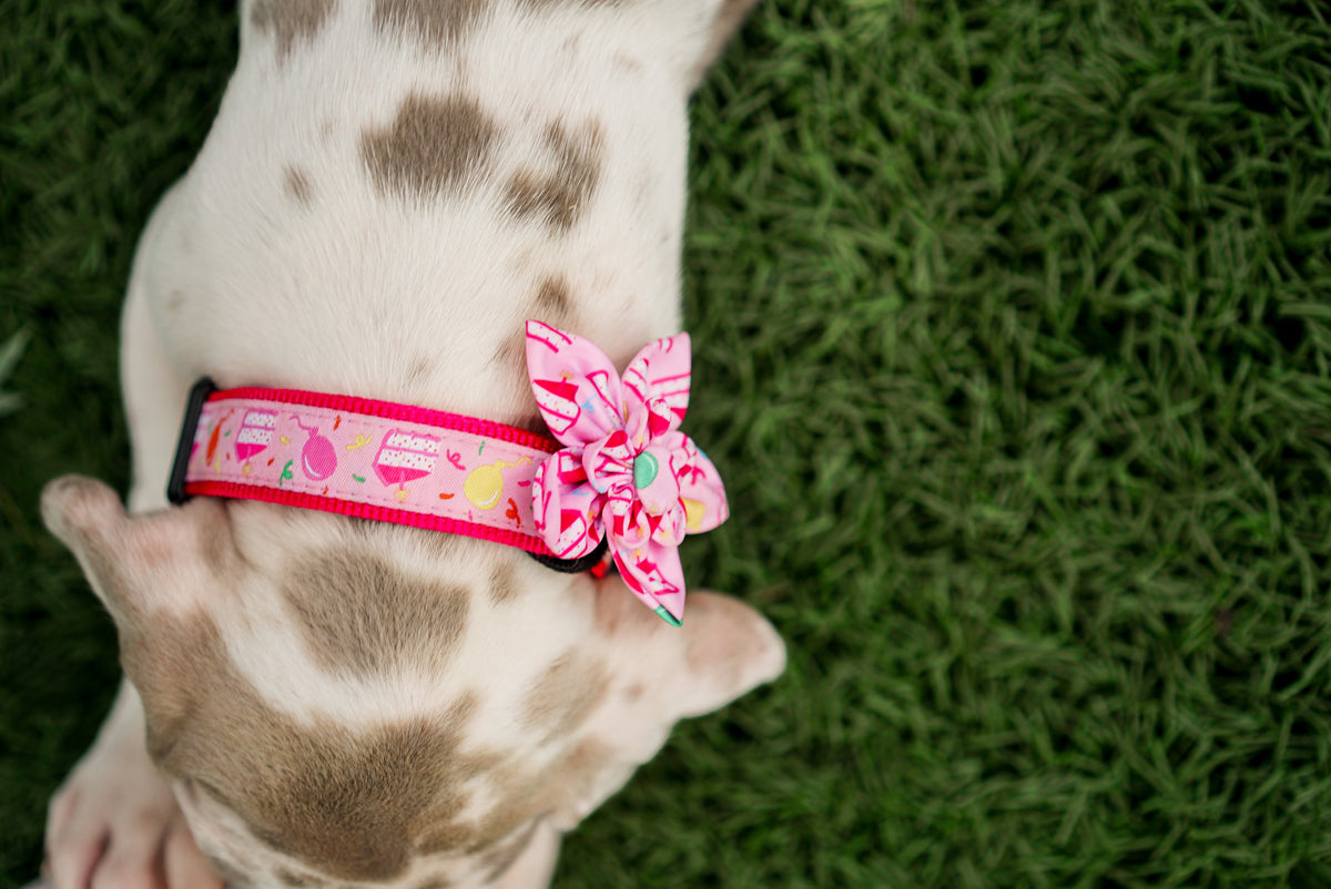 Birthday Girl Dog Flower – Polyester, Pink, Sizes S, L