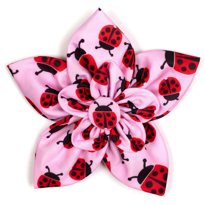 Ladybugs Dog Flower – Polyester, Pink, Sizes S, L