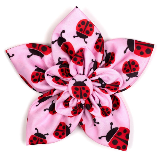 Ladybugs Dog Flower – Polyester, Pink, Sizes S, L