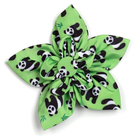 Pandas Dog Flower – Polyester, Green, Sizes S, L