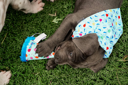 Birthday Boy Dog Slide-On Bandana – Polyester, Blue, Sizes S, L