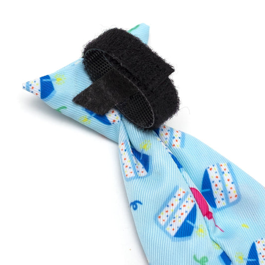 Birthday Boy Dog Neck Tie – Polyester, Blue, Sizes S, L