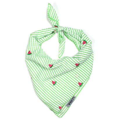 Green Stripe Watermelon Dog Bandana – Cotton, Green/White, Sizes S, L