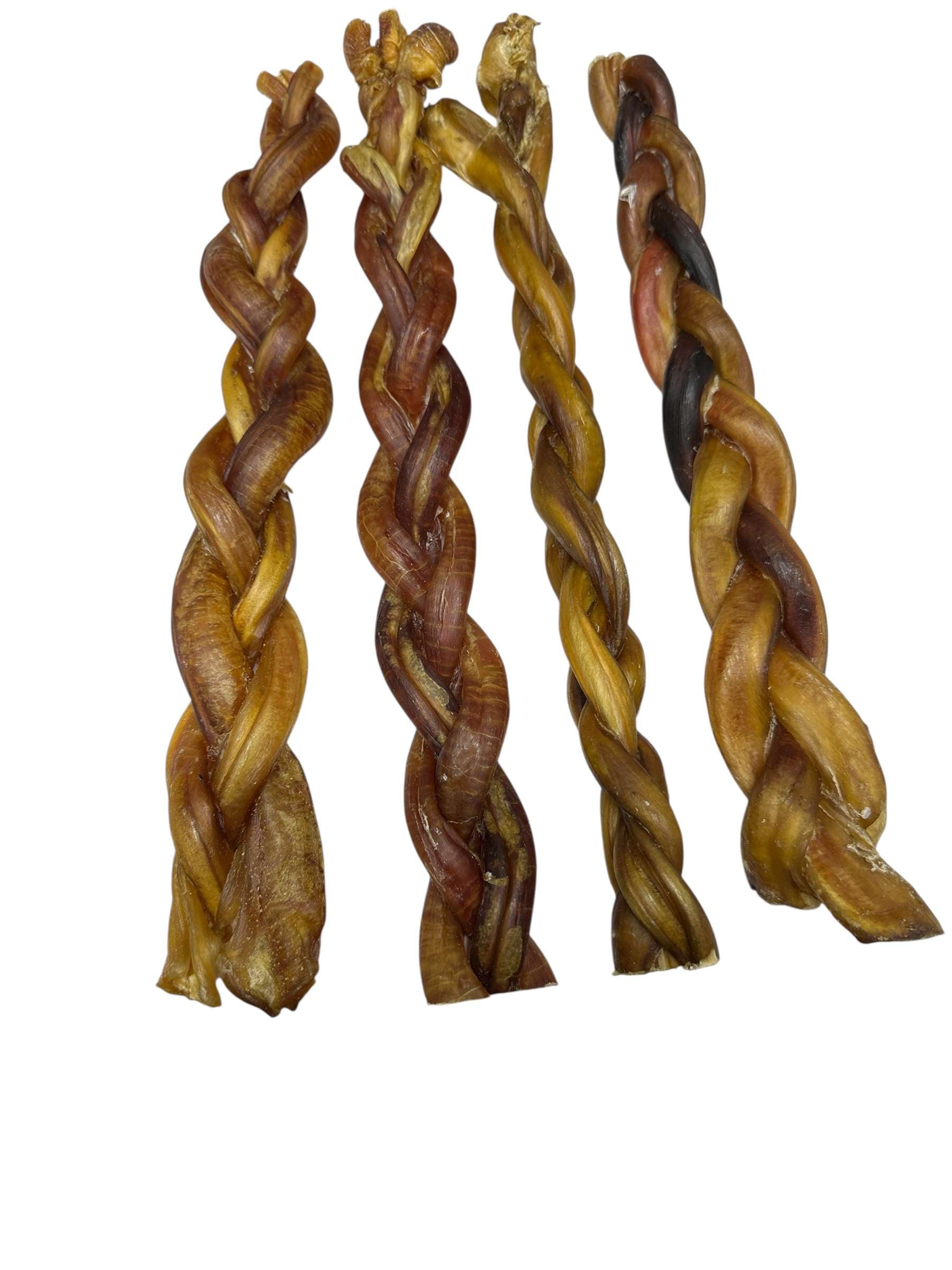 Dog Treat - 12" Braided Beef Bully Sticks Jumbo