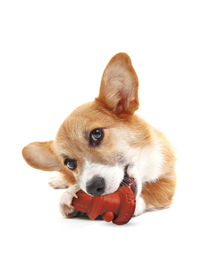 Spunky Pup The Hydrant – Case Pack