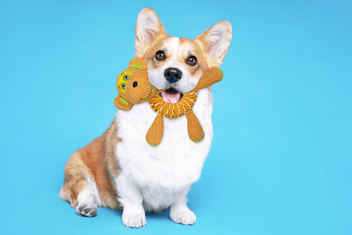 Spunky Pup Wibbleez – Case Pack