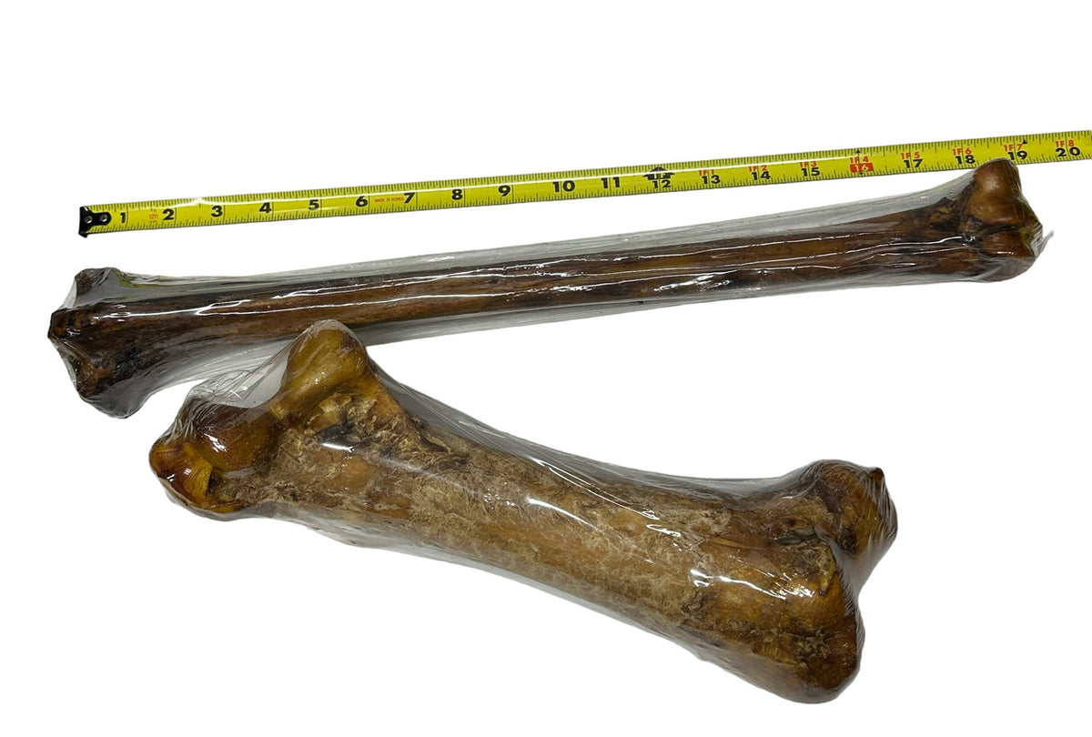 a tape measure next to a bone