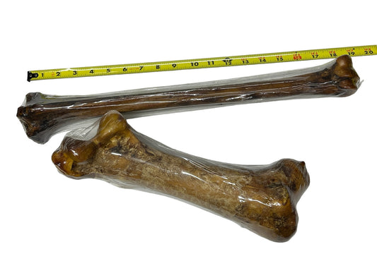 a tape measure next to a bone