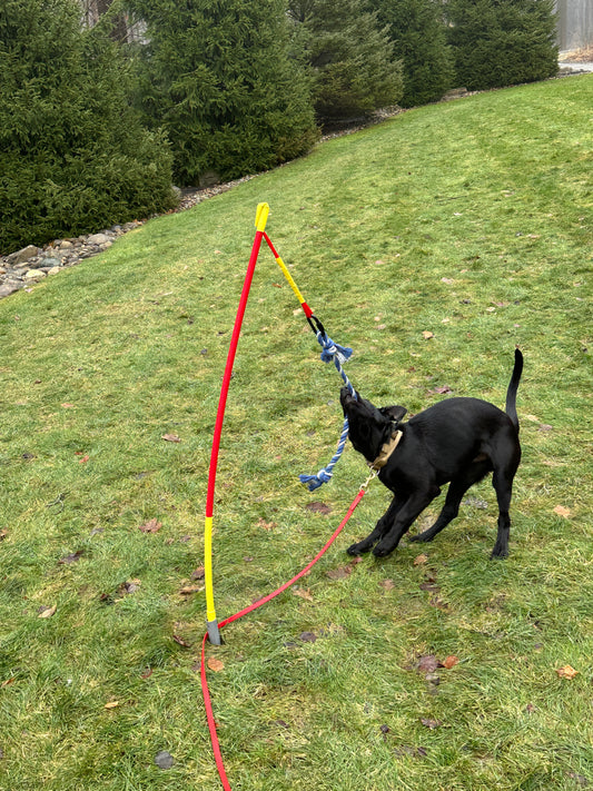 Tether Tug - Dog Toy
