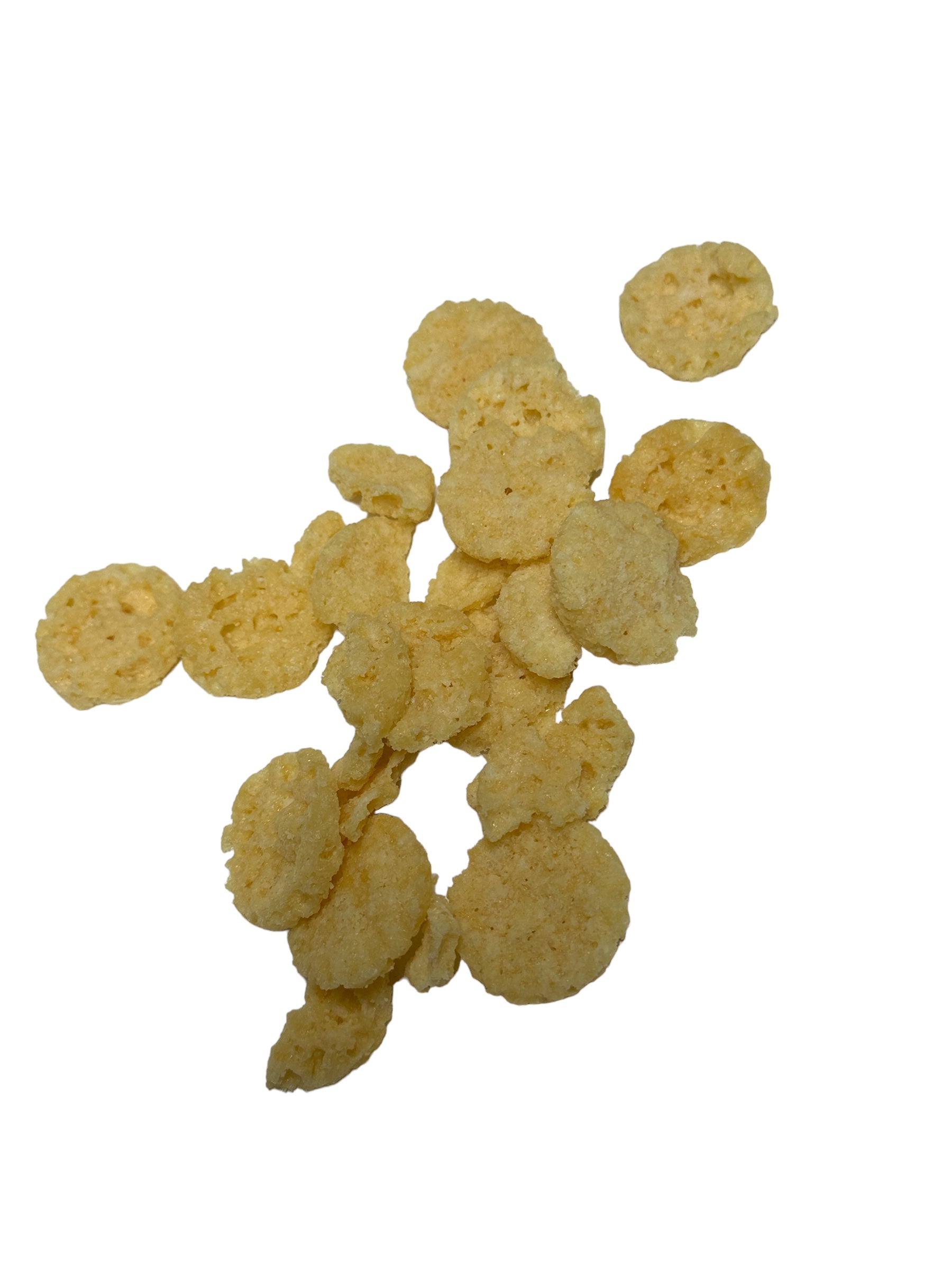 Dog Treat - Nothing But Cheese!