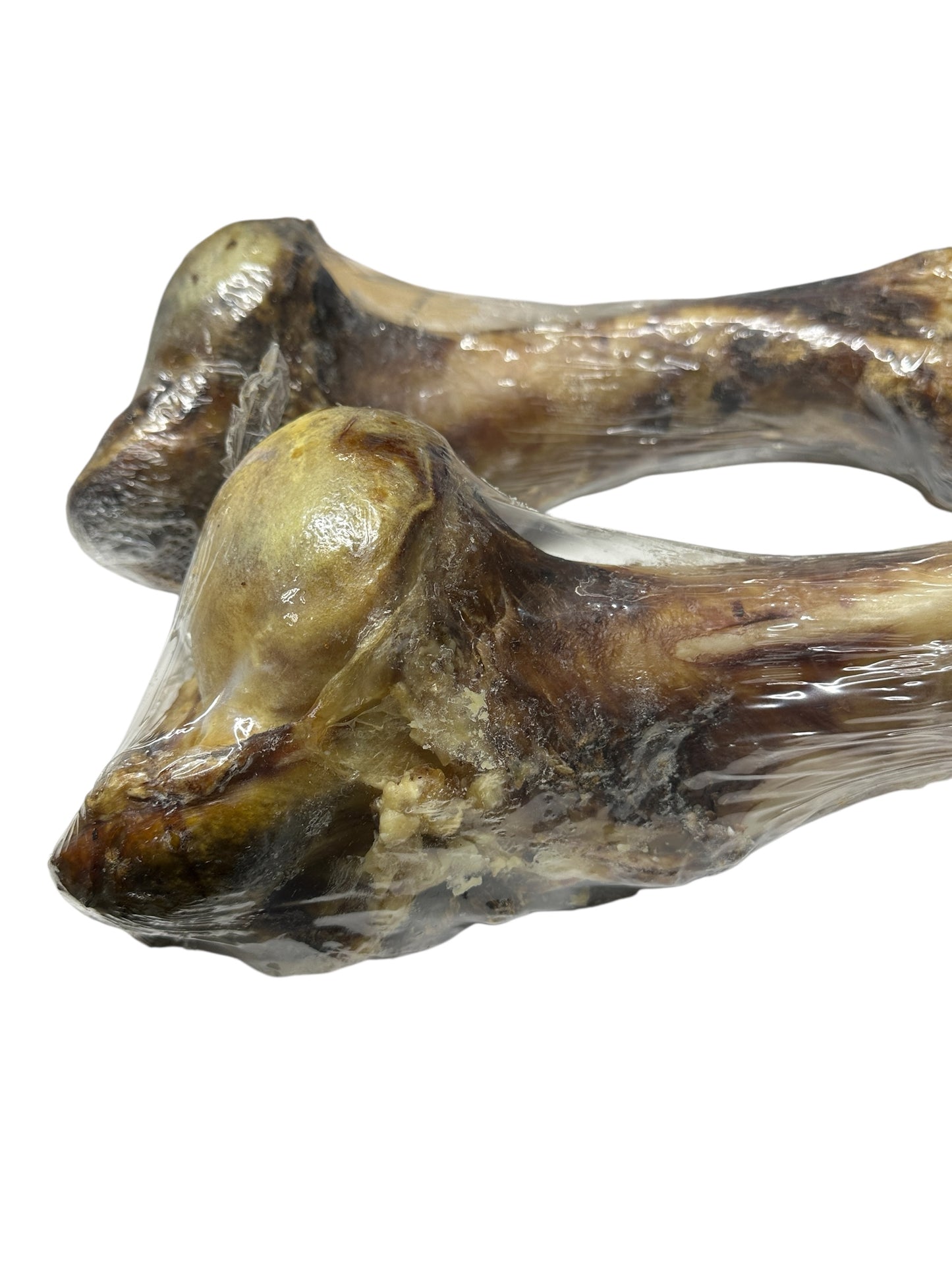 Dog Treat - Beef Dino Bone - Image 2