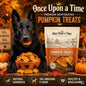 Once Upon A Time Pumpkin Treats For Dogs