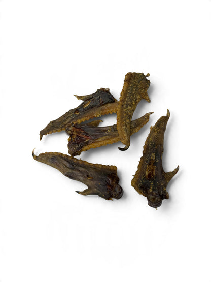 Ostrich Wing Tip Chews For Dogs