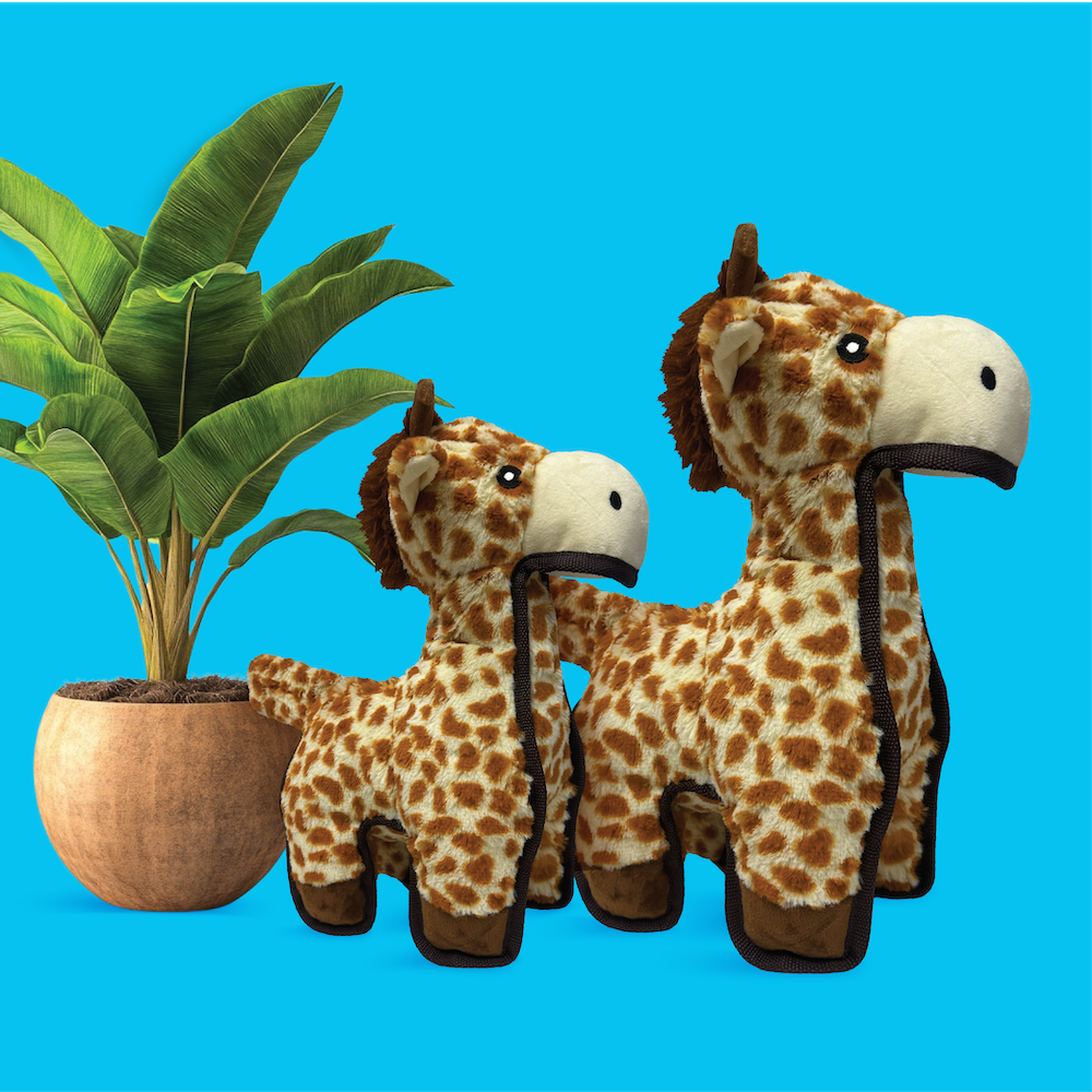 Spunky Pup Tough Plush – Case Pack