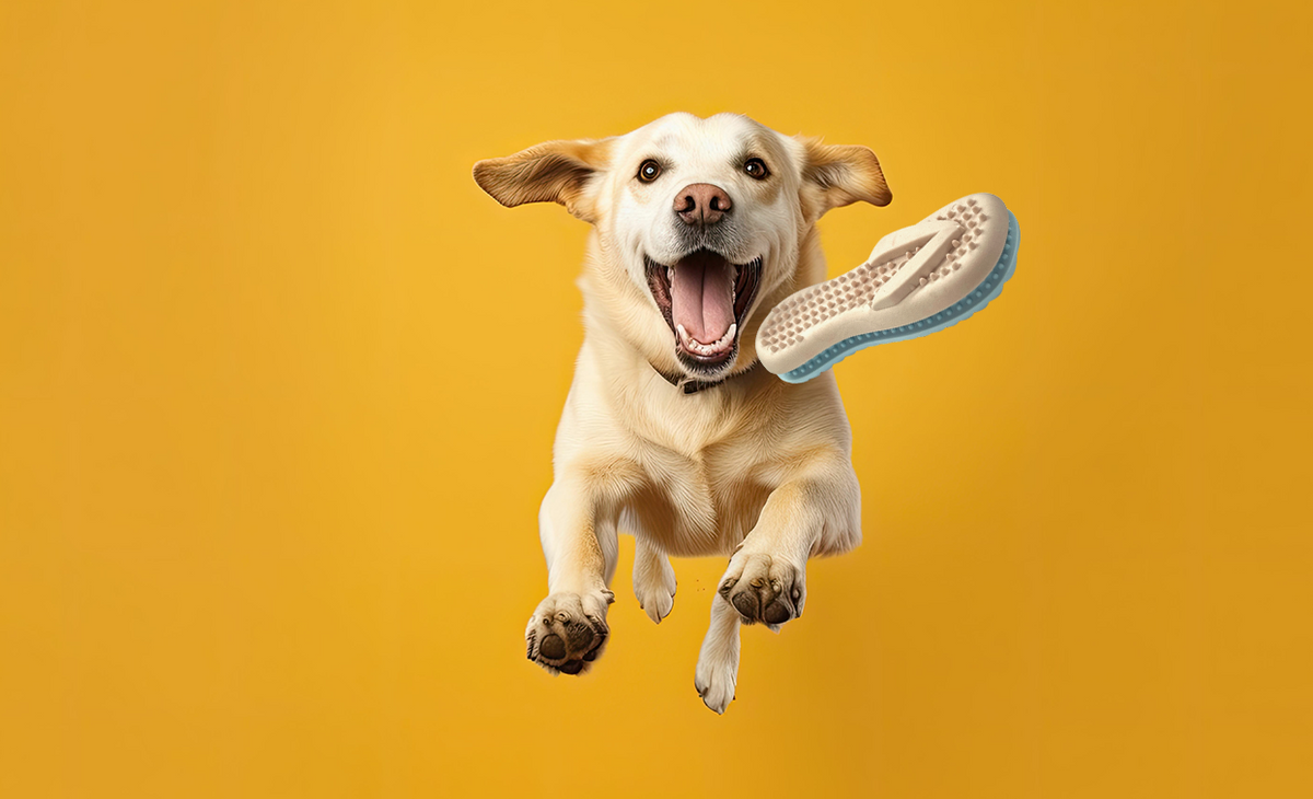Spunky Pup Gnaw Guard – Case Pack
