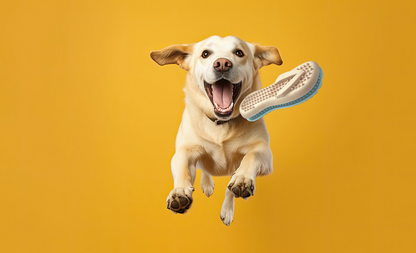 Spunky Pup Gnaw Guard – Case Pack