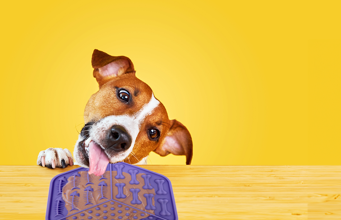Spunky Pup Lick Pad – Hexagon
