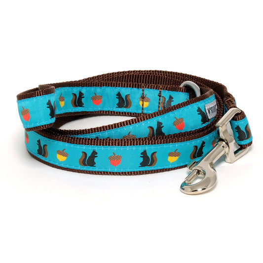 Dark squirrel silhouettes and colorful acorn shapes on teal ribbon nylon dog leash, coiled with brown backing