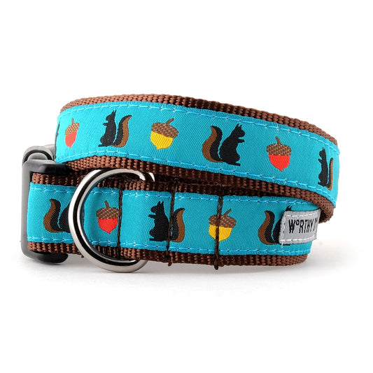 Squirrelly Dog Collar – Teal, Sizes XS–XL