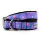 Sunburst Purple Dog Collar – Purple, Sizes XS–XL