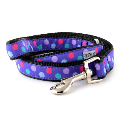 Multicolored round dots on purple ribbon nylon dog leash, coiled