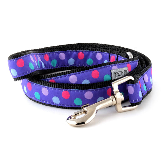 Multicolored round dots on purple ribbon nylon dog leash, coiled