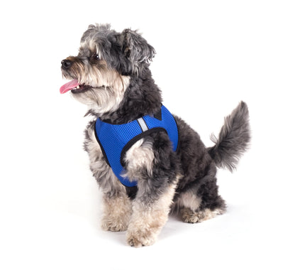Mesh Step-In Dog Harness in royal, product view 2