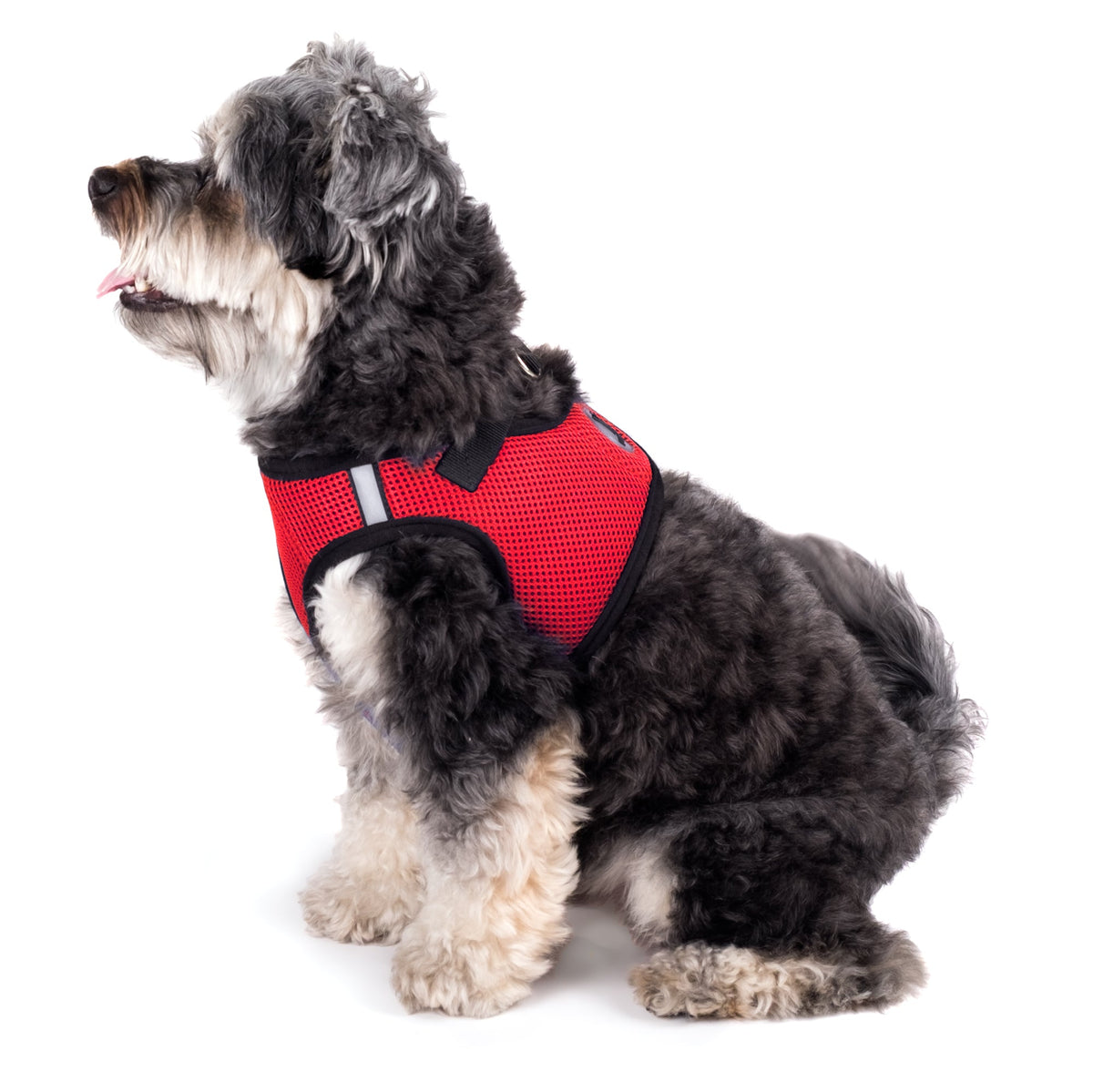 Mesh Step-In Dog Harness in red, product view 5