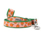 Peachy Keen peach ribbon and nylon dog leash, coiled leash
