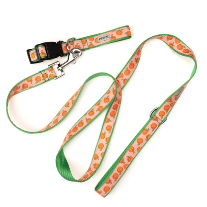 Peachy Keen peach ribbon and nylon dog leash, product view 3