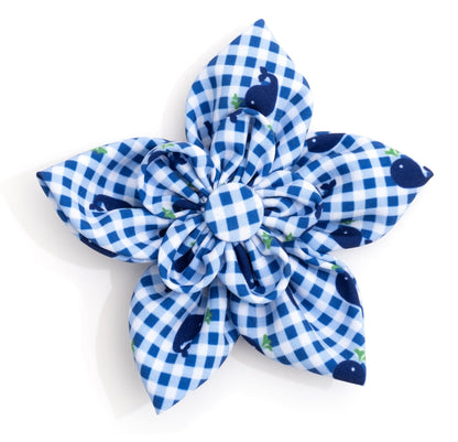 Gingham Whales Dog Flower – Polyester, Blue, Sizes S, L