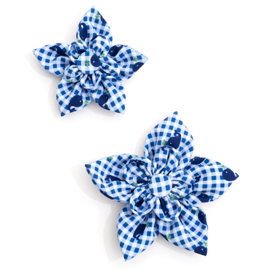 Gingham Whales Dog Flower – Polyester, Blue, Sizes S, L