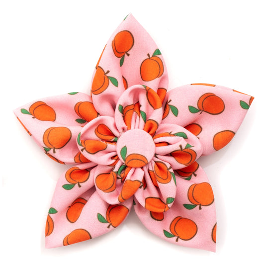 Peachy Keen Dog Flower – Polyester, Peach, Sizes S, L