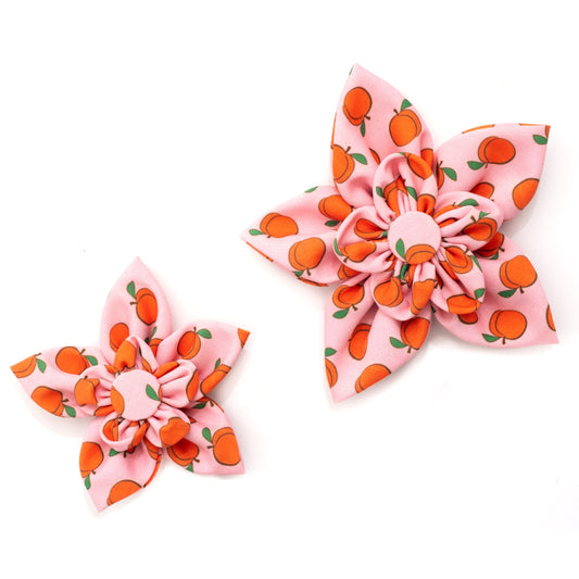 Peachy Keen Dog Flower – Polyester, Peach, Sizes S, L