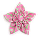 Preppy Bones Dog Flower – Polyester, Pink & Red/White/Blue, Sizes S, L
