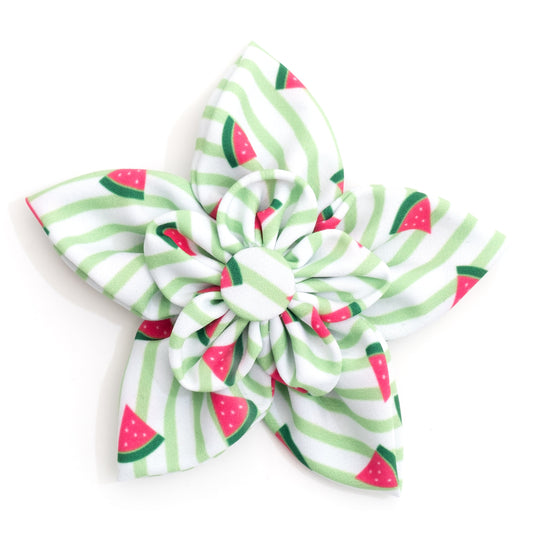 Stripe Watermelon Dog Flower – Polyester, Green, Sizes S, L