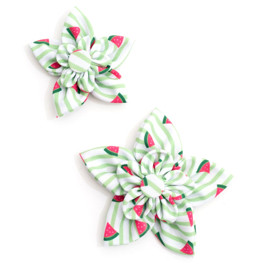 Stripe Watermelon Dog Flower – Polyester, Green, Sizes S, L