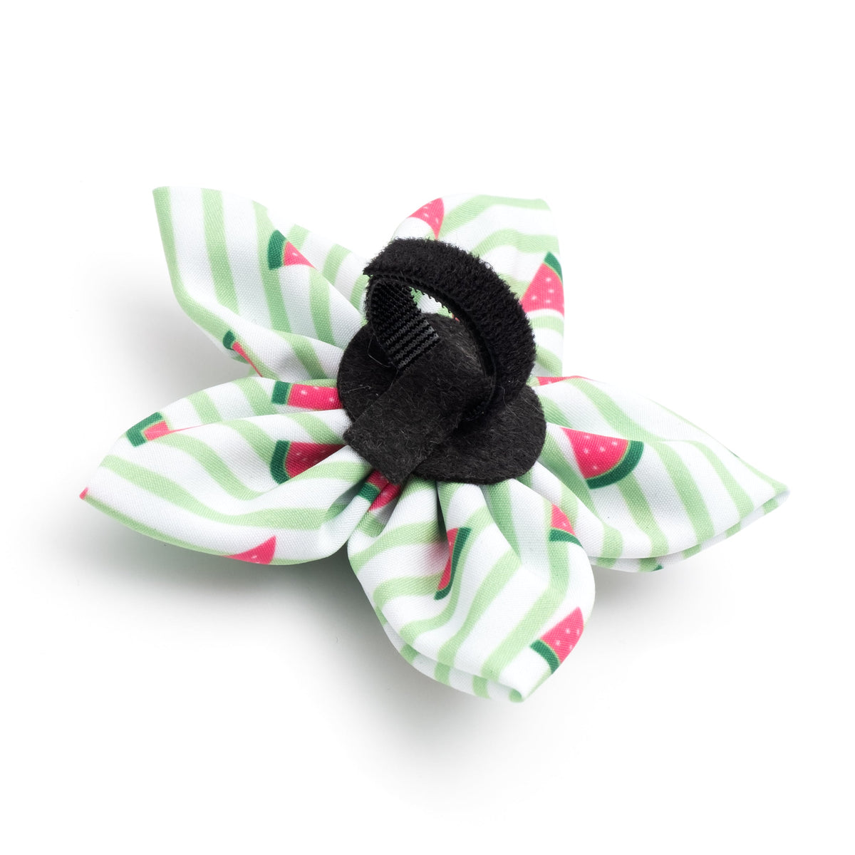 Stripe Watermelon Dog Flower – Polyester, Green, Sizes S, L