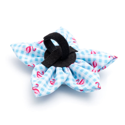 Gingham Flamingos Dog Flower – Polyester, Aqua/White, Sizes S, L