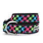 Carnival Check Dog Collar – Multicolored, Sizes XS–XL