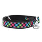 Carnival Check Dog Leash – Multicolored, Sizes S, L