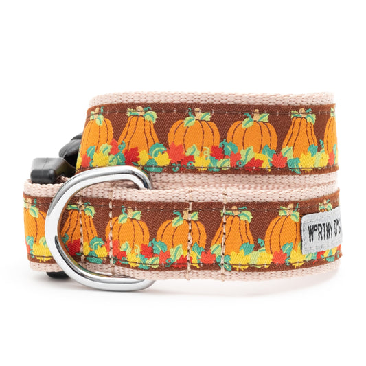 Pumpkin Patch Dog Collar – Brown, Sizes XS–XL