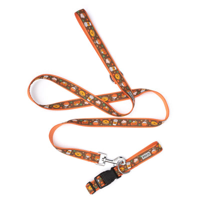 Pumpkin Spice brown ribbon and nylon dog leash, product view 3